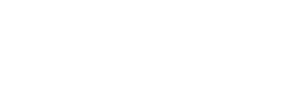 DJ Spyne logo